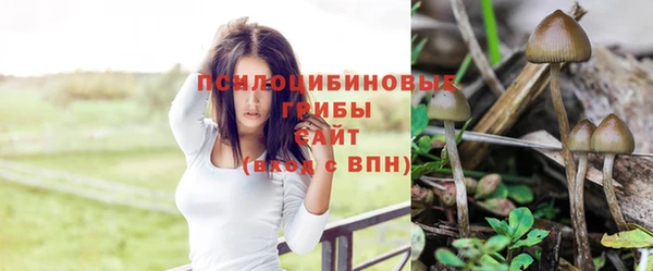 ешки Елизово