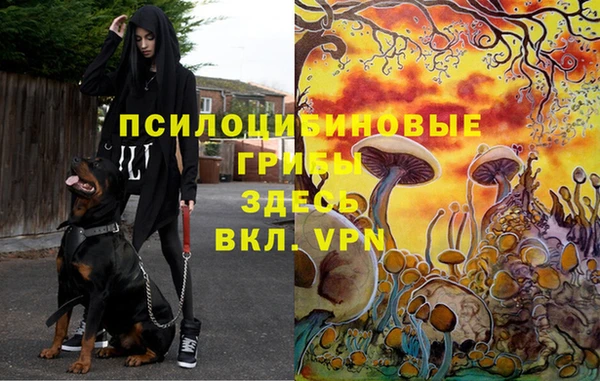 первитин Елабуга
