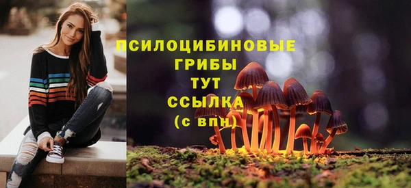 ешки Елизово