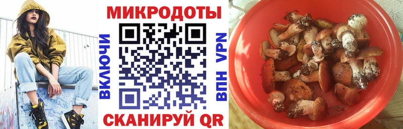 Галлюциногенные грибы Psilocybine cubensis  купить наркотик  Каменногорск 